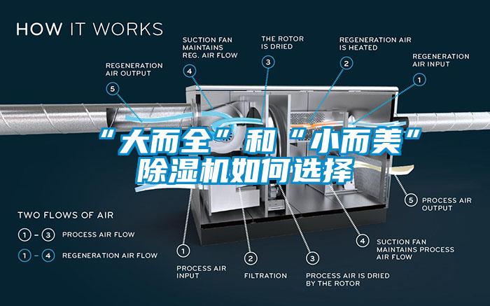 “大而全”和“小而美”芭乐APP下载官网入口新版如何选择