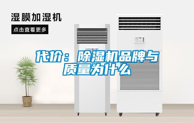 代价：芭乐APP下载官网入口新版品牌与质量为什么