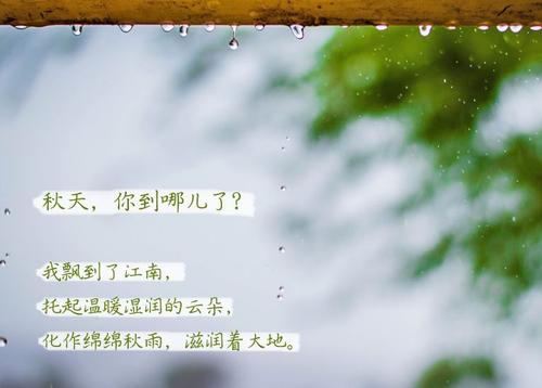 “无晴”阴雨天 “有晴”芭乐APP下载官网入口新版