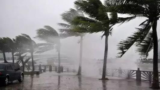 8月台风雨即将来，芭乐APP下载官网入口新版还得用起来