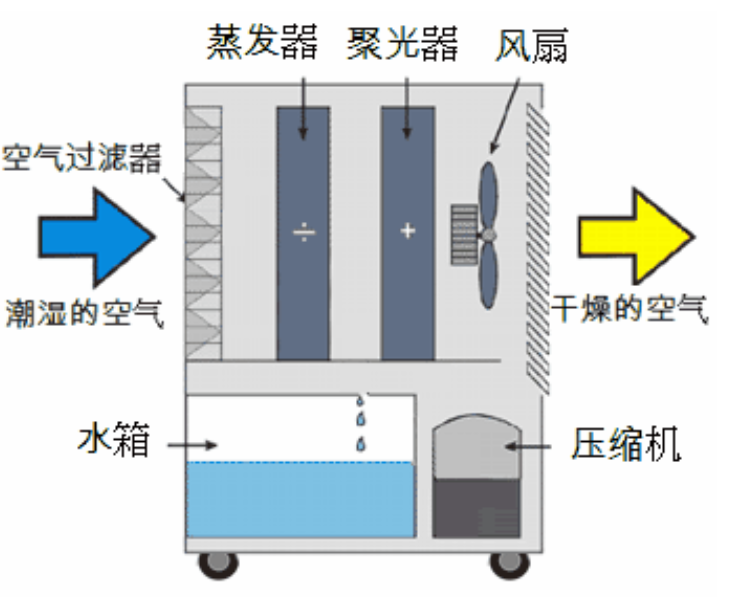 转轮芭乐APP下载官网入口新版启动不正常的原因