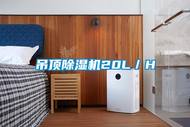 吊顶芭乐APP下载官网入口新版20L／H