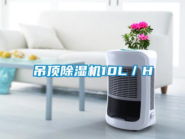 吊顶芭乐APP下载官网入口新版10L／H