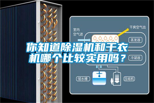 你知道芭乐APP下载官网入口新版和干衣机哪个比较实用吗？