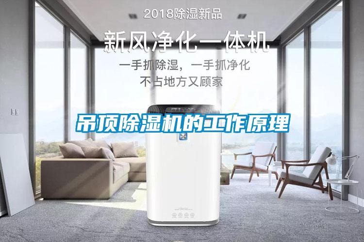 吊顶芭乐APP下载官网入口新版的工作原理