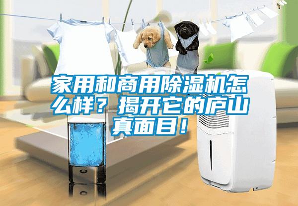 家用和商用芭乐APP下载官网入口新版怎么样？揭开它的庐山真面目！