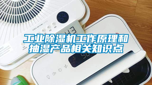 工业芭乐APP下载官网入口新版工作原理和抽湿产品相关知识点