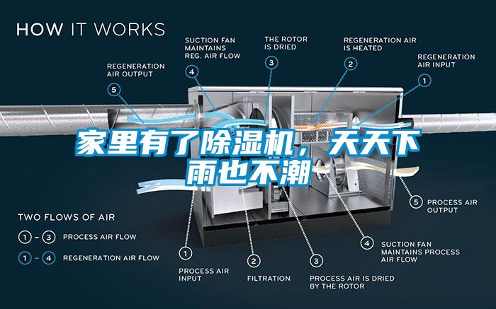 家里有了芭乐APP下载官网入口新版，天天下雨也不潮