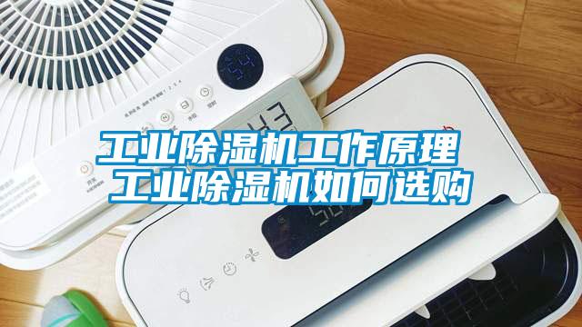 工业芭乐APP下载官网入口新版工作原理 工业芭乐APP下载官网入口新版如何选购