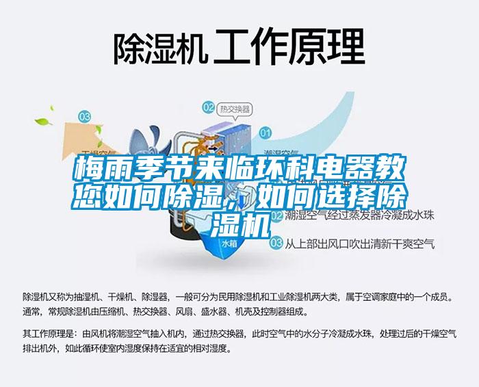 梅雨季节来临环科电器教您如何除湿，如何选择芭乐APP下载官网入口新版