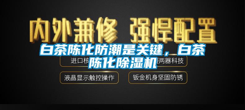 白茶陈化防潮是关键，白茶陈化芭乐APP下载官网入口新版