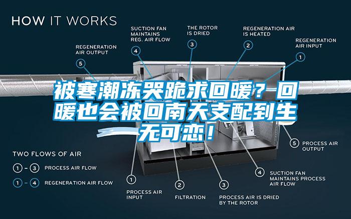 被寒潮冻哭跪求回暖？回暖也会被回南天支配到生无可恋！