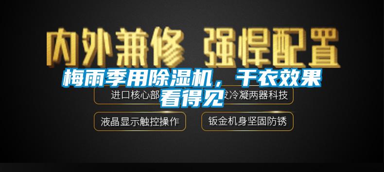 梅雨季用芭乐APP下载官网入口新版，干衣效果看得见