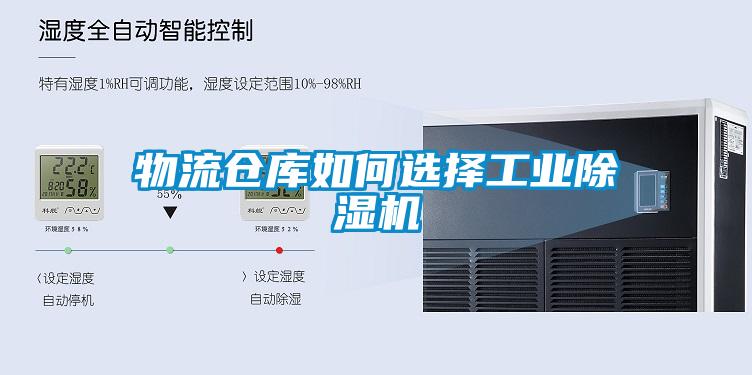 物流仓库如何选择工业芭乐APP下载官网入口新版