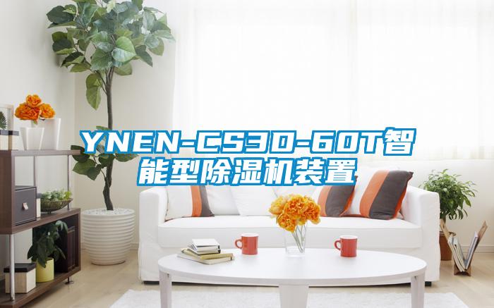 YNEN-CS3D-60T智能型芭乐APP下载官网入口新版装置