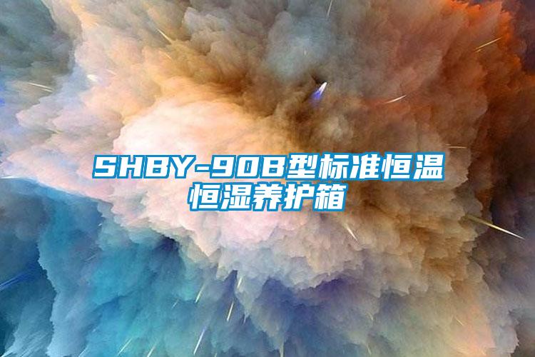 SHBY-90B型标准恒温恒湿养护箱