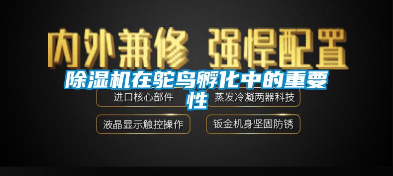 芭乐APP下载官网入口新版在鸵鸟孵化中的重要性