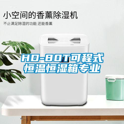 HD-80T可程式恒温恒湿箱专业