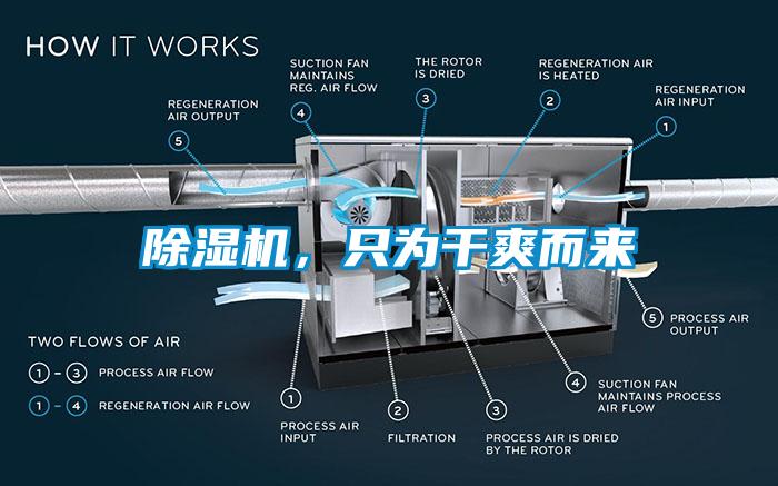 芭乐APP下载官网入口新版，只为干爽而来