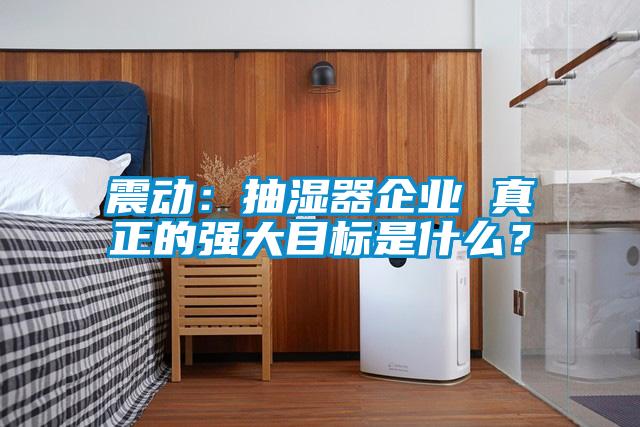 震动：抽湿器企业 真正的强大目标是什么？