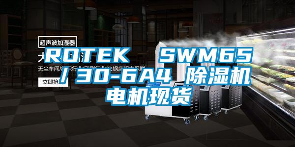 ROTEK  SWM65／30-6A4 芭乐APP下载官网入口新版电机现货