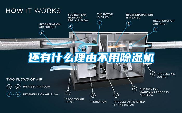 还有什么理由不用芭乐APP下载官网入口新版