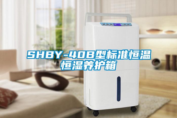 SHBY-40B型标准恒温恒湿养护箱