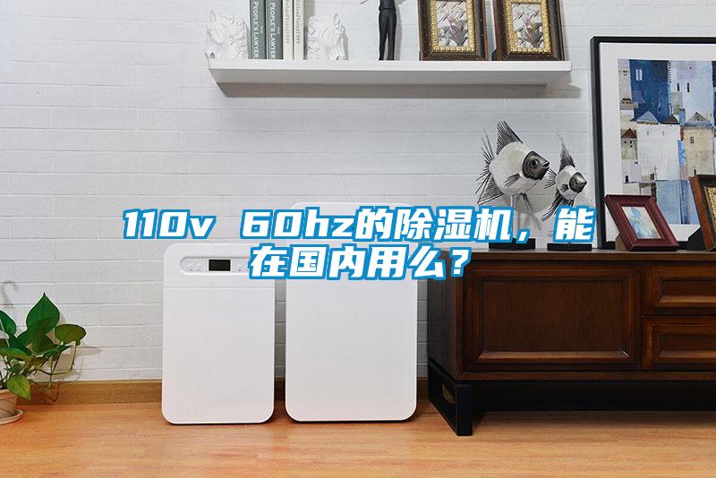 110v 60hz的芭乐APP下载官网入口新版，能在国内用么？