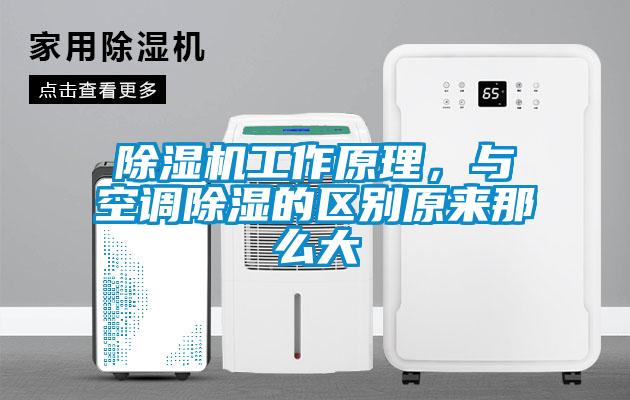 芭乐APP下载官网入口新版工作原理，与空调除湿的区别原来那么大