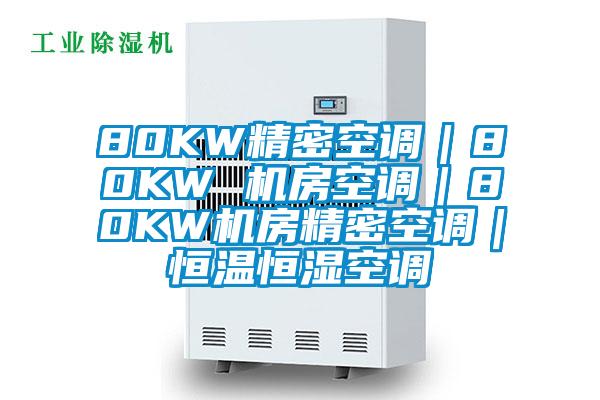 80KW精密空调｜80KW 机房空调｜80KW机房精密空调｜恒温恒湿空调