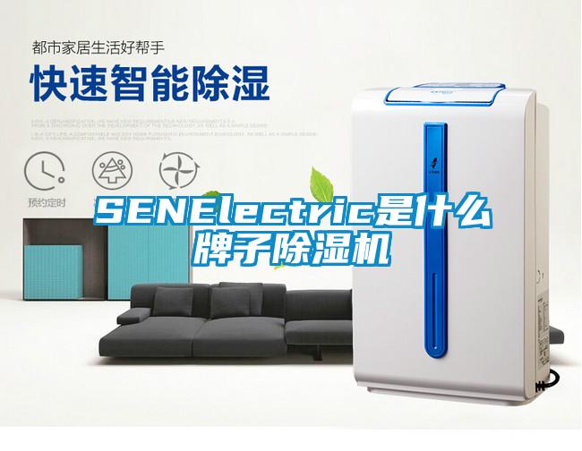 SENElectric是什么牌子芭乐APP下载官网入口新版