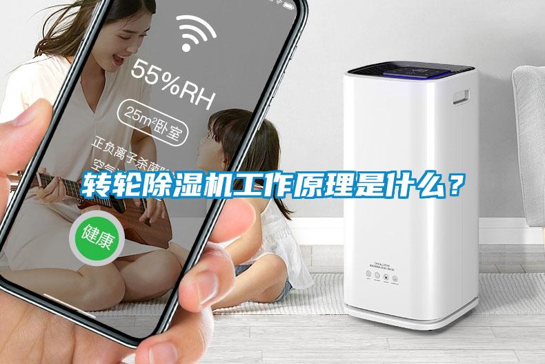 转轮芭乐APP下载官网入口新版工作原理是什么？