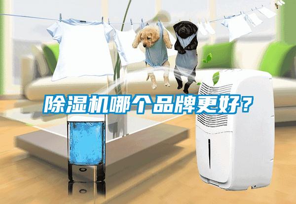 芭乐APP下载官网入口新版哪个品牌更好？