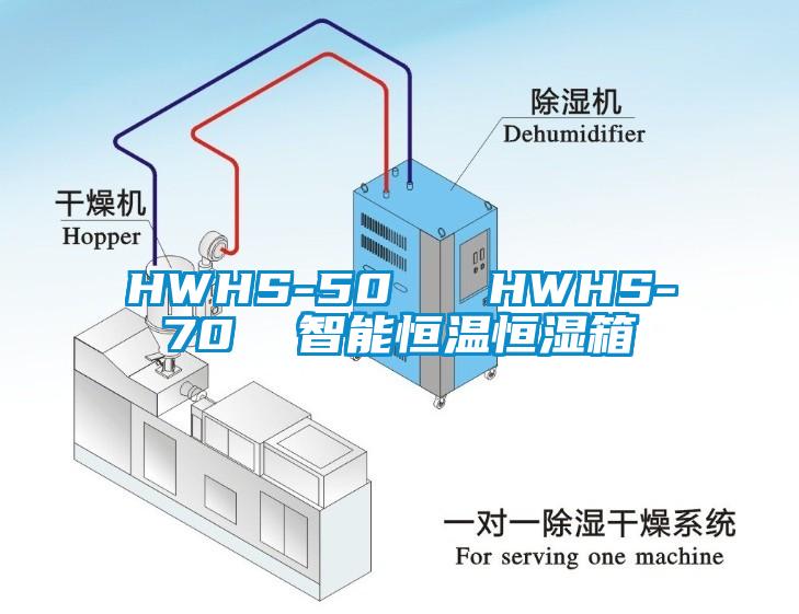 HWHS-50   HWHS-70  智能恒温恒湿箱