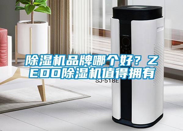 芭乐APP下载官网入口新版品牌哪个好？ZEDO芭乐APP下载官网入口新版值得拥有