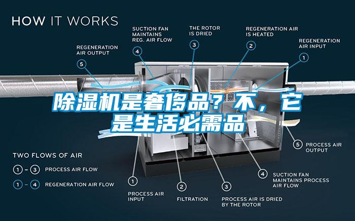 芭乐APP下载官网入口新版是奢侈品？不，它是生活必需品