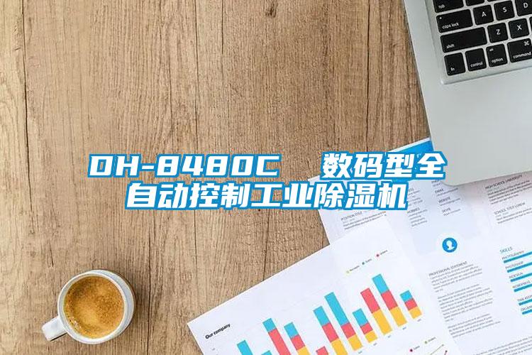 DH-8480C  数码型全自动控制工业芭乐APP下载官网入口新版