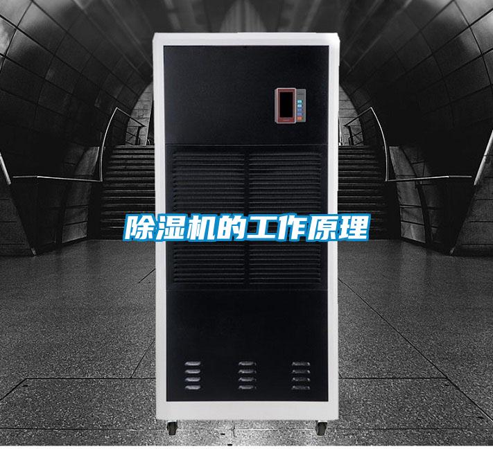 芭乐APP下载官网入口新版的工作原理