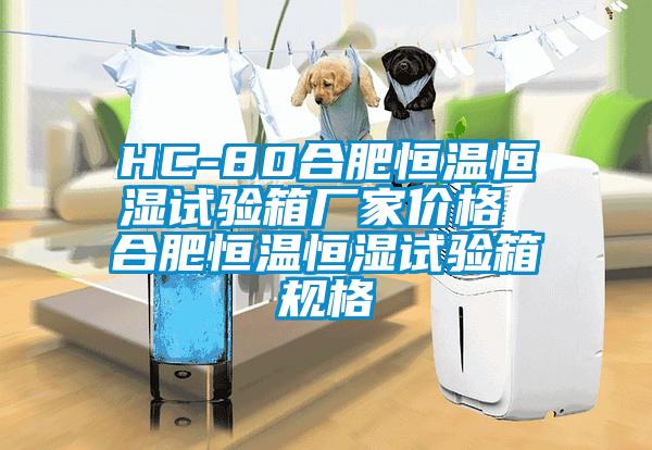 HC-80合肥恒温恒湿试验箱厂家价格 合肥恒温恒湿试验箱规格