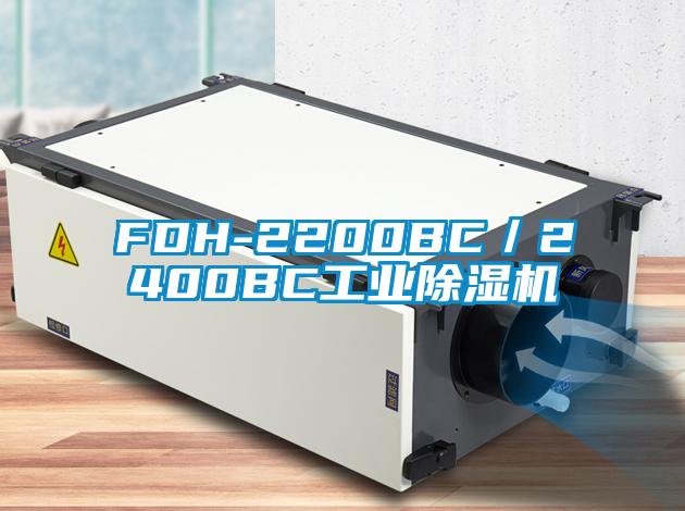 FDH-2200BC／2400BC工业芭乐APP下载官网入口新版