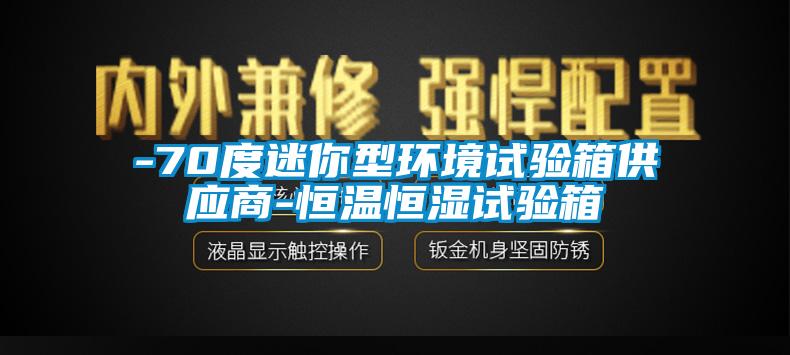 -70度迷你型环境试验箱供应商-恒温恒湿试验箱