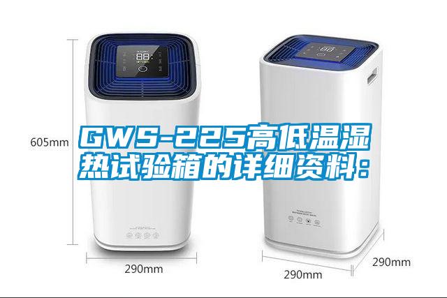 GWS-225高低温湿热试验箱的详细资料：