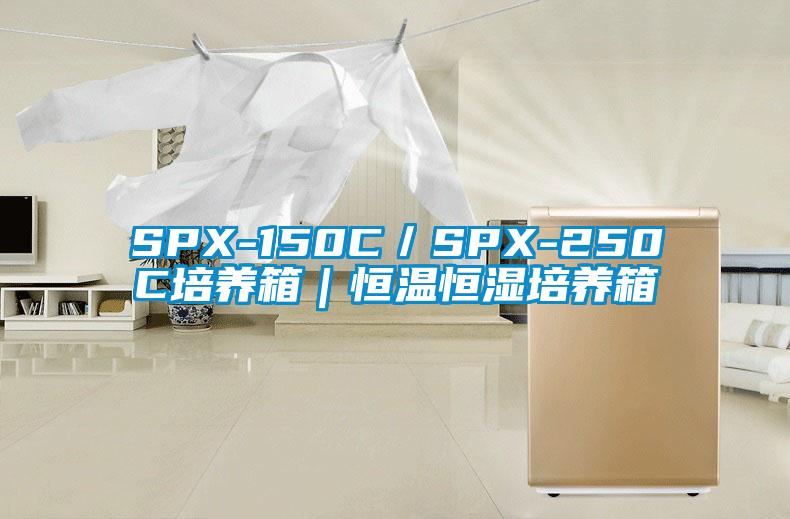 SPX-150C／SPX-250C培养箱｜恒温恒湿培养箱