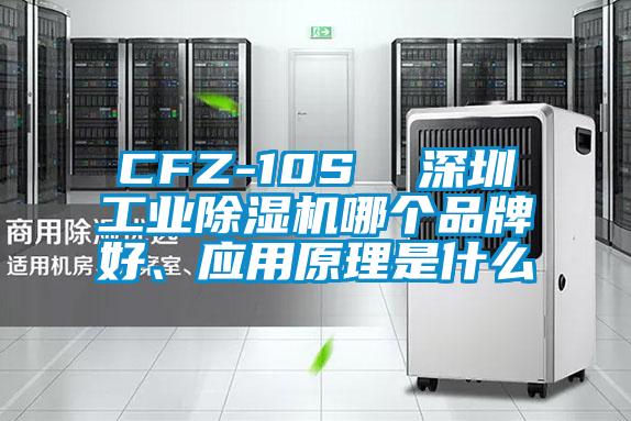 CFZ-10S  深圳工业芭乐APP下载官网入口新版哪个品牌好、应用原理是什么