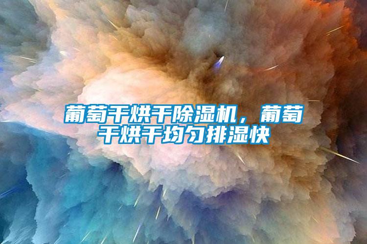 葡萄干烘干芭乐APP下载官网入口新版，葡萄干烘干均匀排湿快