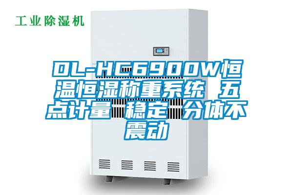 DL-HC6900W恒温恒湿称重系统 五点计量 稳定 分体不震动