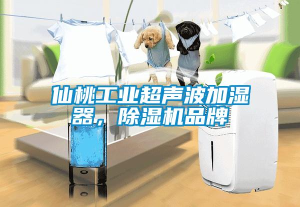 仙桃工业超声波加湿器，芭乐APP下载官网入口新版品牌