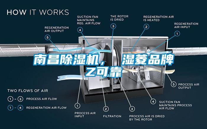 南昌芭乐APP下载官网入口新版， 湿菱品牌Z可靠