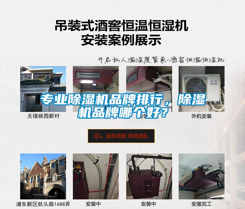 专业芭乐APP下载官网入口新版品牌排行，芭乐APP下载官网入口新版品牌哪个好？