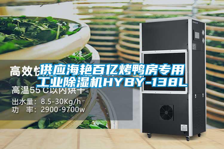 供应海艳百亿烤鸭房专用工业芭乐APP下载官网入口新版HYBY-138L